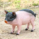 室内 自宅用 オフィス F 庭 癒される 動物 pig 豚 かわいい デスクトップ装飾 ミニチュア動物置物 ガーデン 装飾 タイプ5 プレゼント ガーデンオーナ...