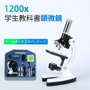 中学 小学生 子供用 マイクロスコープ 子供の頃から科学への興味を育てる 生物顕微鏡と反射顕微鏡 理科 知育 実験 顕微鏡 1200x
