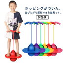 運 親子 室外 エアポンプ付属 スポーツトイ フィットネス 子供 おもちゃ アクショントイ ホッピング 体幹トレーニング 大人 子供