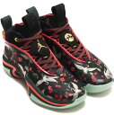 ナイキ エア ジョーダン 36 塁 NIKE AIR JORDAN 36 RUI ブラック/ジェイドスモーク/ビンテージグリーン/メタリックゴールド DV526...