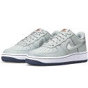 ナイキ エア フォース 1 NIKE J AIR FORCE 1 ピュアプラチナム/ベアリーグレープ/ミッドナイトネイビー/メタリックシルバー CT3839-004 ナイキジャパン正規品