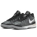 ナイキ レブロン NXXT ゼン EP NIKE LEBRON NXXT Gen EP ブラック/ホワイト/ライトボーン/ウルフグレー DR8788-005