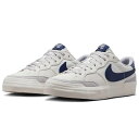 ナイキ SB ズーム ポゴ プラス NIKE W SB ZOOM POGO PLUS フォトンダスト/ウルフグレー/ライトボーン/ミッドナイトネイビー FQ2935-001