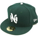 NEWERA ニューエラ キャップ CAP NPB CLASSIC 59FIFTY 日本プロ野球 クラシック フィフティーナインフィフティー 南海ホークス ダークグリーン/ホワイト（11121733）（NEW ERA）【コンビニ受取対応商品】 shoetime