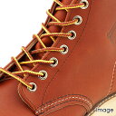 レッドウィング 純正アクセサリー 97150 タスラン・ブーツレース REDWING 48inch/122cm 6インチ用 靴ひも トラヒモ タン/ゴールド 【...