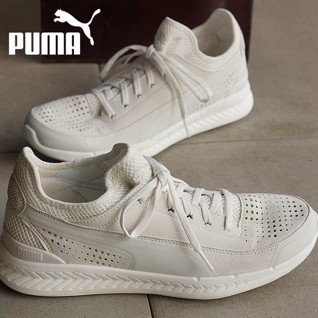 puma ignite sock puma ignite sock