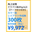 封筒印刷 角2封筒 クラフト紙 テープのり付き カラー刷 レイアウト作成無 300枚 kaku231134