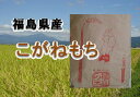 【送料無料】(一部地域別途送料負担)こがねもち玄米30キロ★もち米の最高級品種!(22年産)福島県産のこがねもち!!30キロ玄米でお届け福島県産こがねもち30キロ(玄米・22年産)★送料0円!(一部地域別途送料負担)