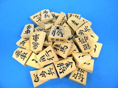 https://thumbnail.image.rakuten.co.jp/@0_mall/shogi/cabinet/horikoma/imgrc0070565715.jpg