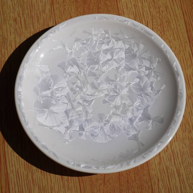 乐天商城 - 京焼 清水焼 花結晶銘々皿　白単品