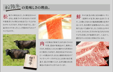 松阪牛すき焼き、しゃぶしゃぶ用モモ肉250g、ロース肉250g入【02P03Sep16】