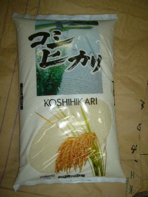 令和5年産庄内産 コシヒカリ 白米10k