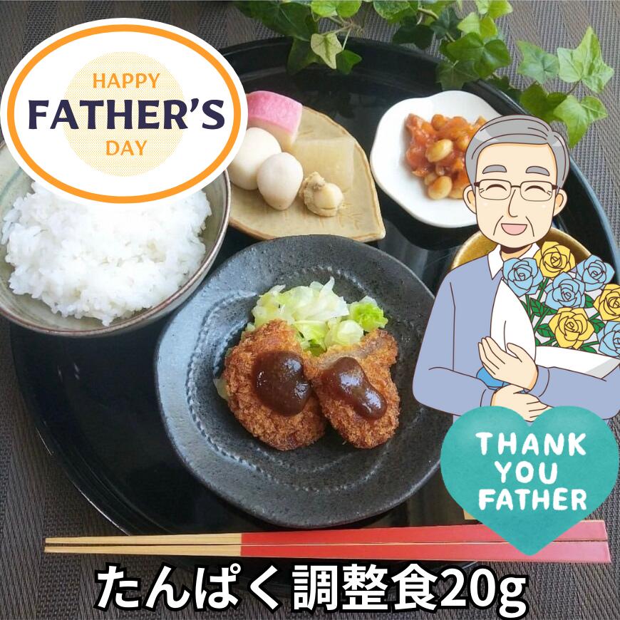 【初回限定】たんぱく調整食20g（試食コース6食）父の日 プレゼント 宅配 健康 塩分制限 療養 冷 ...