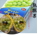 岡山県産 熟撰果!!加温ハウス栽培 ゴールドシャインマスカット1箱