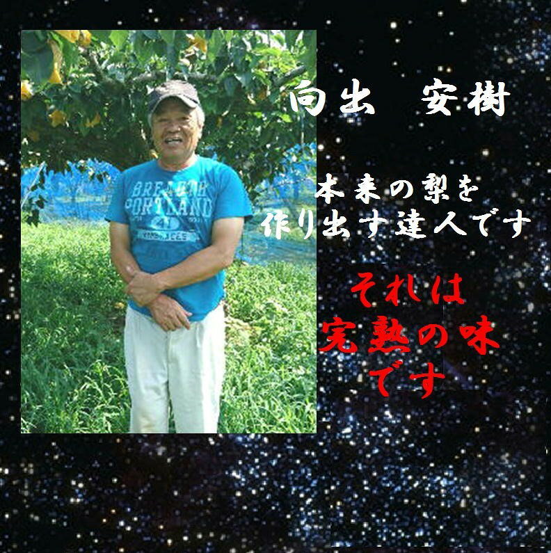 「産地直送！！」奈良県吉野郡大淀町　大阿太高原　向出　安樹　作　木熟二十世紀梨（ゴールド二十世紀）　2L〜4L寸 shoku-kurashi-10001658 食 くらし サンプル画像3