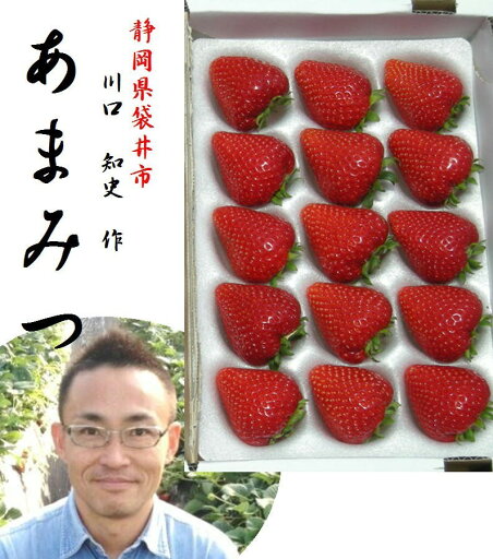 「世界で一つだけの苺!!」静岡県掛川市産 川口 知史 作 あまみつ苺(進物用) 1箱(400g)9〜15粒入り ※大きさにより粒数が異なります。商品仕様の個数は大粒サイズの入数です。 「世界で一つだけの苺!!」静岡県掛川市産 川口 知史 作 あまみつ苺(進物用) 1箱(400g)9〜15粒入り ※大きさにより粒数が異なります。商品仕様の個数は大粒サイズの入数です。