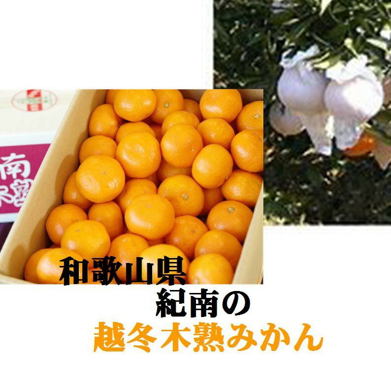 �²λ��������Х��䡼���������̣������󡡡ֵ���α����ڽϤߤ���ס�1Ȣ��M��2S����