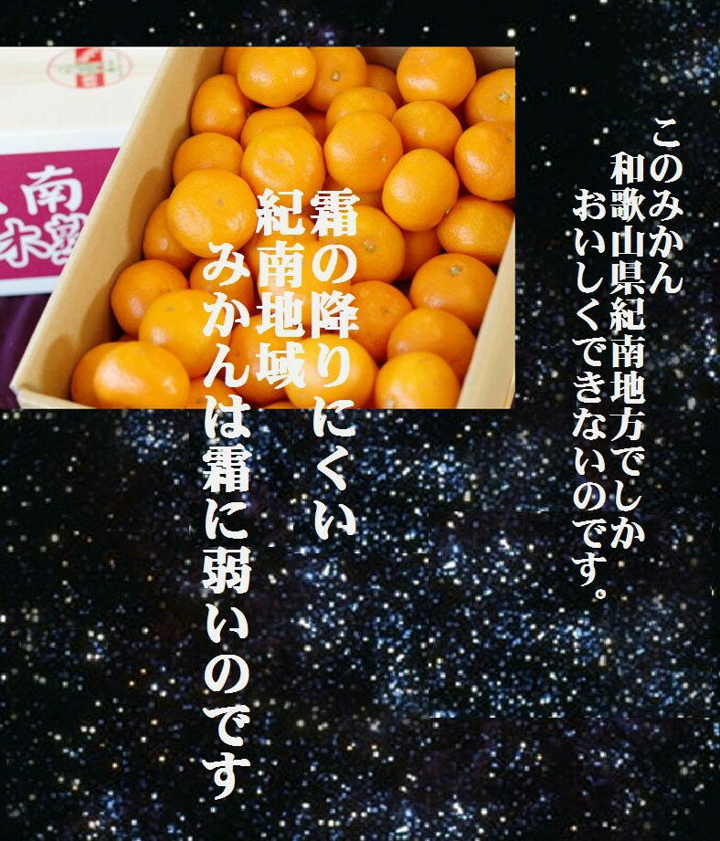 �²λ��������Х��䡼���������̣������󡡡ֵ���α����ڽϤߤ���ס�1Ȣ��M��2S����