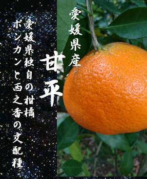 「今だけセット」愛媛県産 甘平&青森県産 高糖度サンふじ1箱 1.5kg(各3玉)