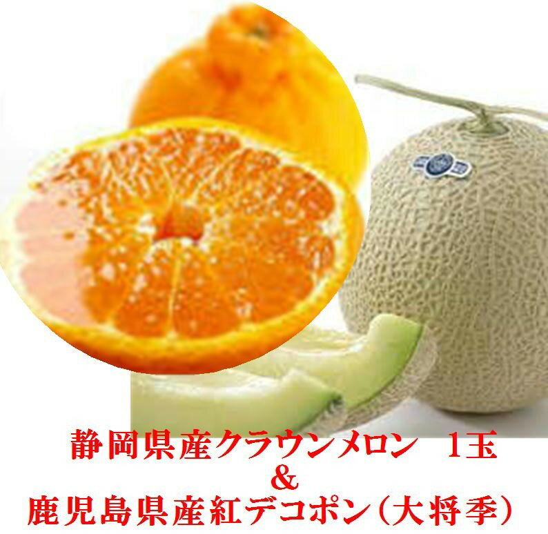 「今だけセット」鹿児島県産 ハウス栽培熟成紅デコポン「大将季」4玉(1玉当たり250g以上)&静岡県産 クラウンマスクメロン1玉(1玉当たり1.2kg以上)セッ...