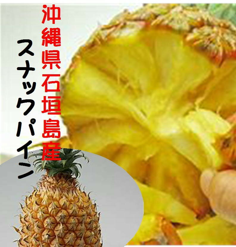 沖縄県石垣島産　スナックパイン　3玉（1玉当たり600g〜700g）