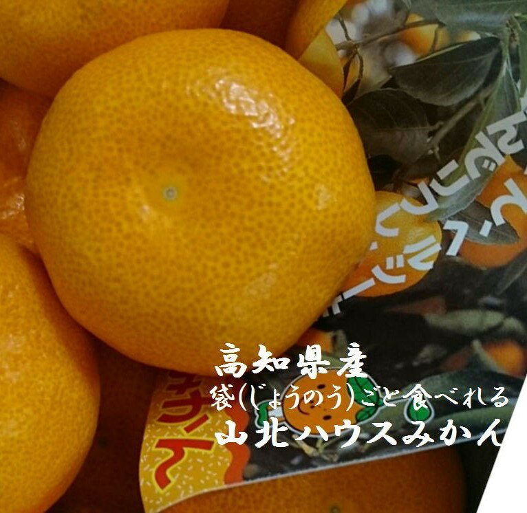 高知県産　「バイヤーが選んだ美味しいもん」山北のハウスみかん　S〜M寸　1箱※商品仕様の個数は箱の個..