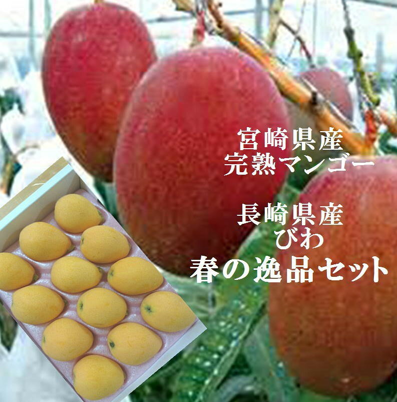 Rakuten - 長崎県産　ハウス栽培　びわ　L～2L寸　1箱（9〜12玉）＆宮崎県産　完熟マンゴー2L寸（1玉）セット