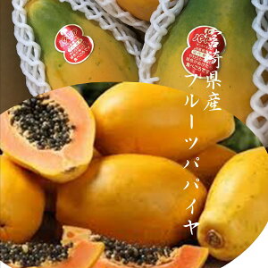 「宮崎県産フルーツパパイヤ」国産ならではの適熟！！まろやかな甘みと癖の無さ　2kg（3〜5玉）