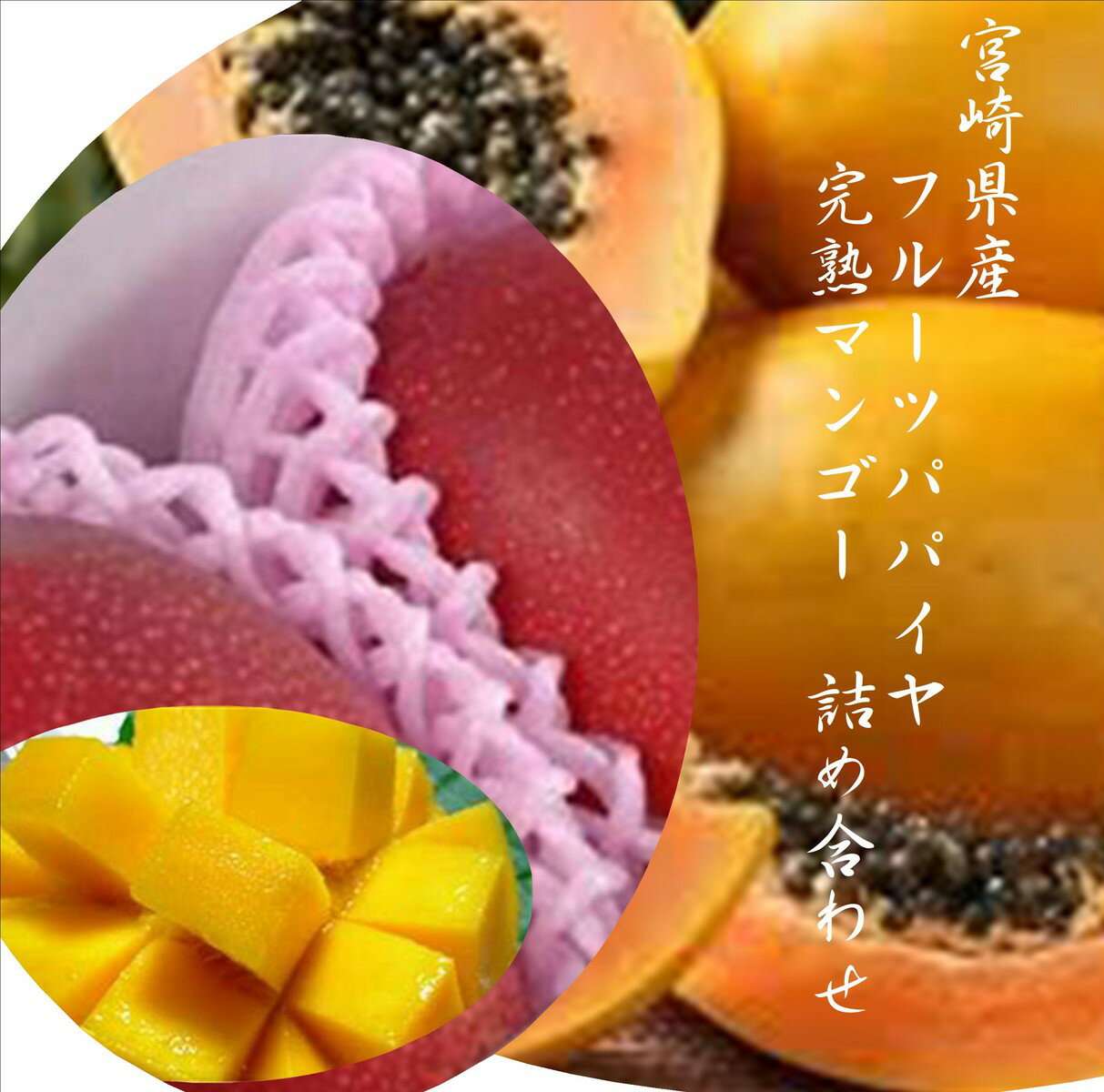 「宮崎県産フルーツパパイヤ」「宮崎県産完熟マンゴー」国産ならではの味わい！！1箱（700g）各1玉入り※マンゴーは2L以上をお詰め合わせいたします。