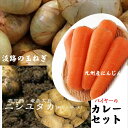 バイヤーが選ぶカレーセット(じゃがいもL寸4個 玉ねぎL寸3個 にんじんL寸2本)