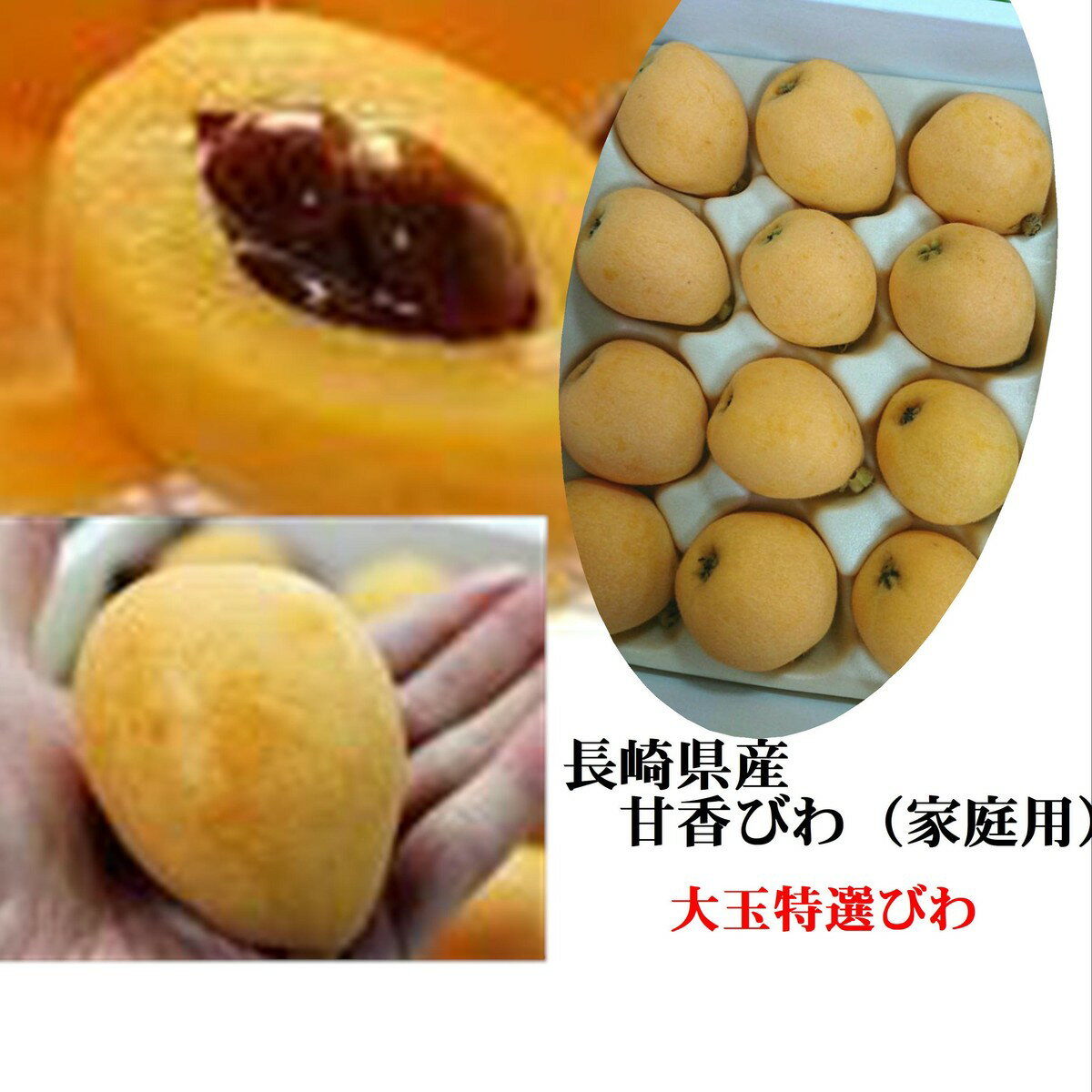 「大玉厳選 希少品種！！」長崎県産　ハウス栽培　甘香びわ（家庭用）　1箱700g（8〜10玉）※スレ果が入ります。簡易包装でのお届けとなります。サイズにより入り数が異なります。