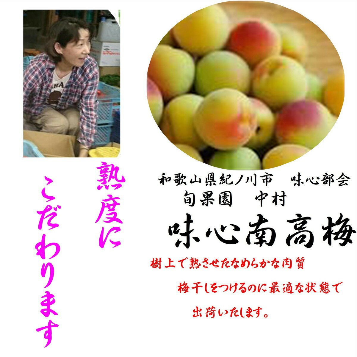 お取り寄せ!!「味心南高梅」和歌山県紀の川市味心部会旬果園中村L~2L1箱3kg※産地直送の場合もございます。