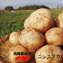 新物は九州産がうまい！！長崎県雲仙　男爵芋「ニシユタカ」M～2L寸　1kg※商品仕様の個数は　2L寸のおおよその数量です。