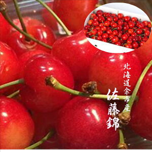北海道余市産「露地栽培 さくらんぼ」L寸以上900gバラ詰め※佐藤錦か紅秀峰になります
