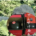 北海道 でんすけ西瓜 進物用 4L寸以上1玉