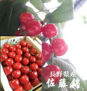 バイヤーが選んだ「佐藤錦」　長野県産　品質安定！！　加温ハウス栽培　300gバラ詰め