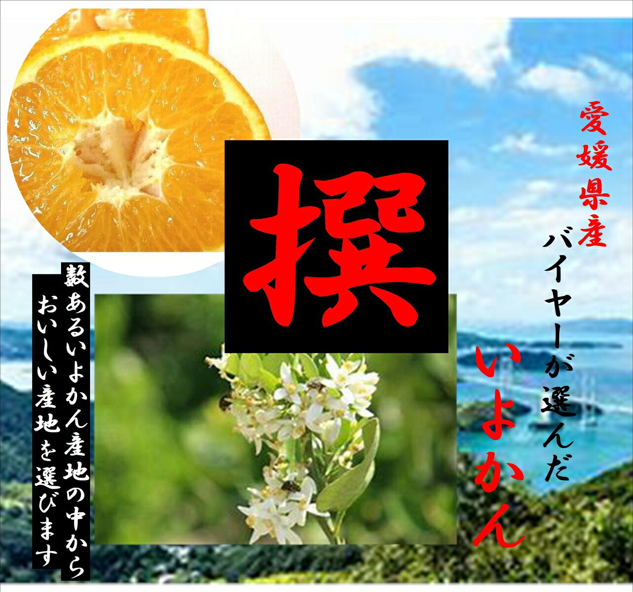 �ʰ�ɲ̾���˰�ɲ�������Х��䡼���������̣������󡡡֤��褫��ס�2L��3L���ˢ����ʲ�����9kg�ͤ�Ǥ��������ʾ������Ǥ������ޤ��������ʻ��ͤθĿ���3L�������Τ����褽�θĿ��Ǥ���