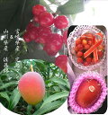 「バイヤーが選んだ美味しいもん」宮崎県産 完熟マンゴー2L寸1玉&山形県産 屋根掛けハウス栽培佐藤錦 200g入り1パック 化粧箱入り