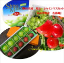 Juwelry Fruits 山形県産 佐藤錦 L寸以上&岡山産 「晴王」シャインマスカット(各5粒) 手詰め化粧箱入り(進物用)