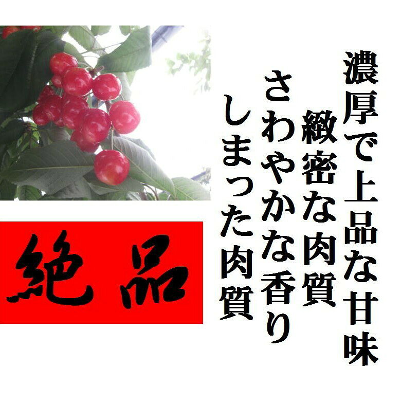 青森県津軽産　佐藤錦　（L〜2L）1箱