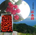 青森県津軽産 佐藤錦 (L~2L)1箱