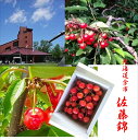 北海道余市産「露地栽培 佐藤錦」M~2L寸混合 バラ詰め ※商品仕様の個数は箱の個数です。