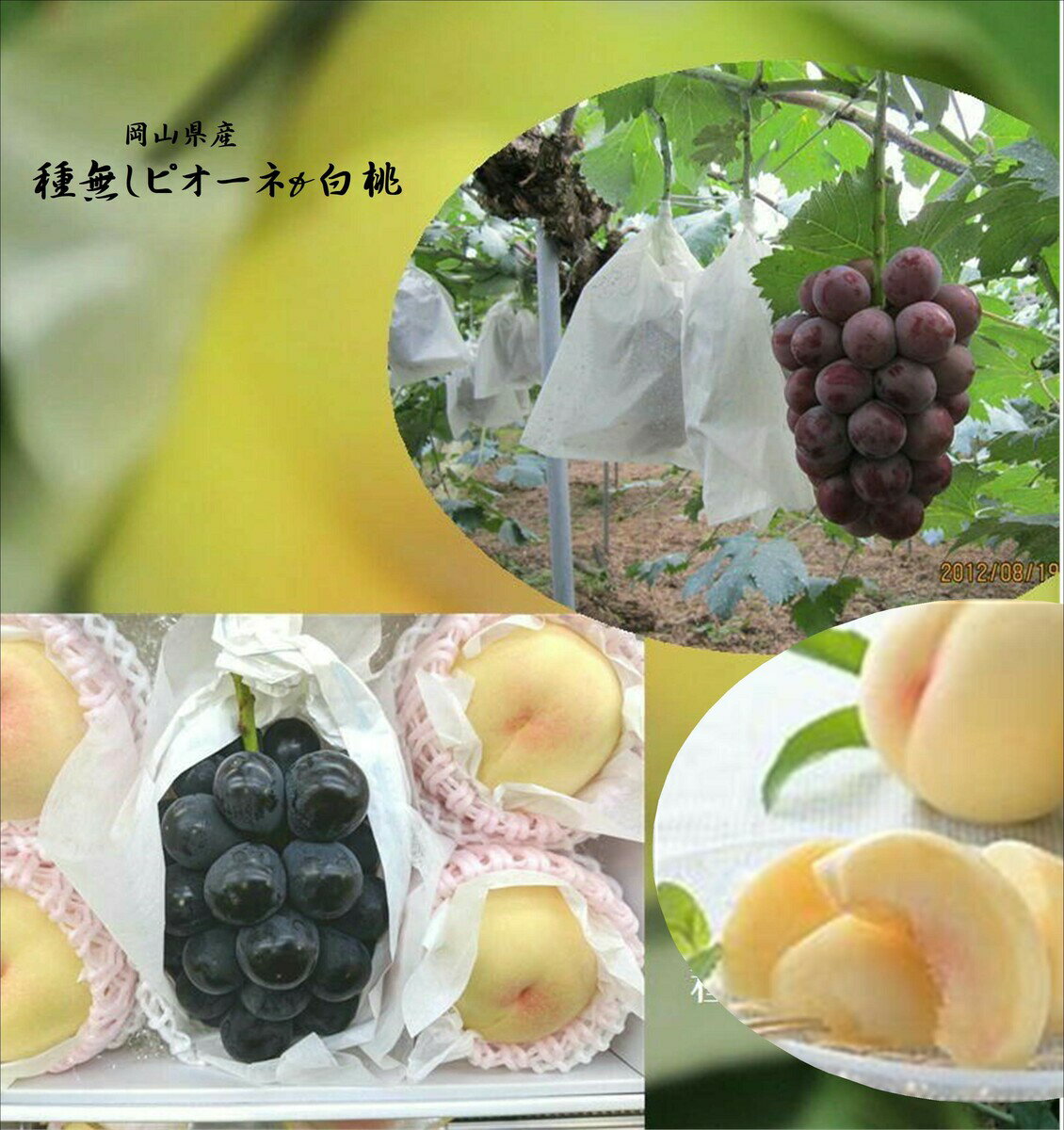 乐天商城 - 岡山県産　上品な甘みとち密な肉質と豊富な果汁　「岡山の白桃」＆「岡山の種無しピオーネ」　1箱1.8kg（桃4玉　ピオーネ1房）