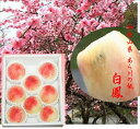 期間限定!!最も美しい桃!!和歌山県産 あら川の桃「白鳳」