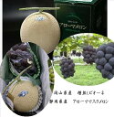 静岡県産 アローママスクメロン1玉&岡山県産 種なしピオーネ1房 (メロン1玉当たり1.2kg~1.5kg・種なしピオーネ1房あたり600g以上)※化粧箱のデザインが変わる場合がございます。なおクラウンメロンの場合がございます。
