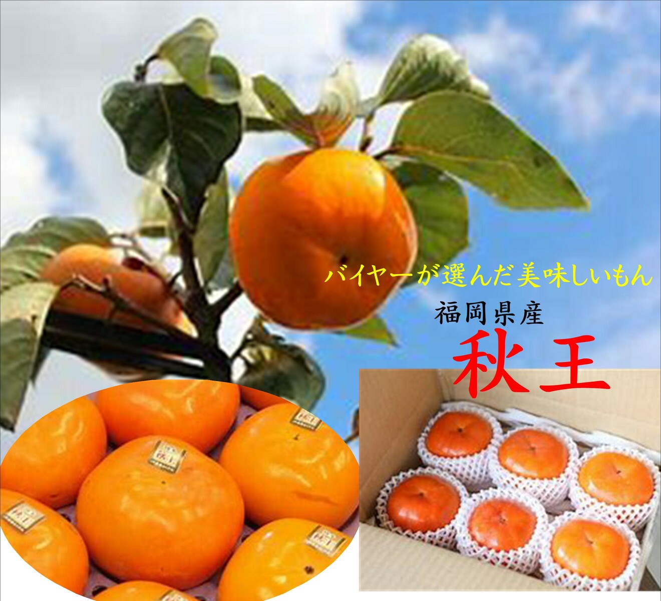 この商品は お取り寄せ！！バイヤーが選んだ美味しいもん！！福岡県オリジナル　秋王 ポイント10月後半から11月上旬の期間限定！！シャキッ！！濃厚！！ こだわりのお届け！！ 〇美味しい出荷時期〇当店で熟度を選別〇美味しいサイズ ショップからのメッセージ ありがとうございます　食　くらしです。当社ではおいしいものをよりお買い得にをモットーにしております。皆様のご今後とも何卒よろしくお願い申し上げます支援が。あるほどより美味しいものをお届けできます。※当店では順次、バイオマス原料を使用した環境にやさしい緩衝材に切り替えております 納期について 2026年10月下旬からのお届けとなります4