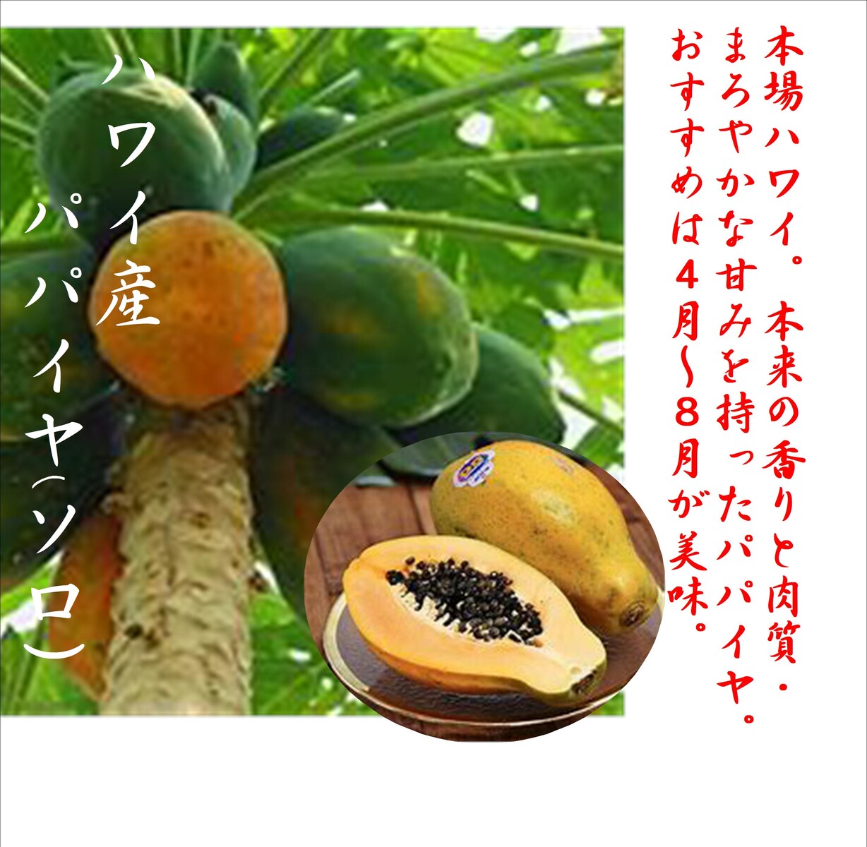 「ハワイ産フルーツパパイヤ」本場ならではの味わい！！まろやかな甘みと本来の風味　1kg（2〜3玉）