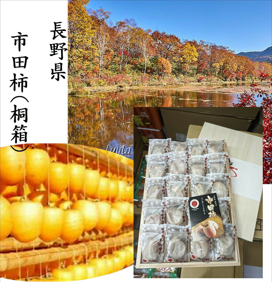 バイヤーが選んだ美味しいもん！！長野県産 市田柿 桐箱 1箱（680g20粒 個装）