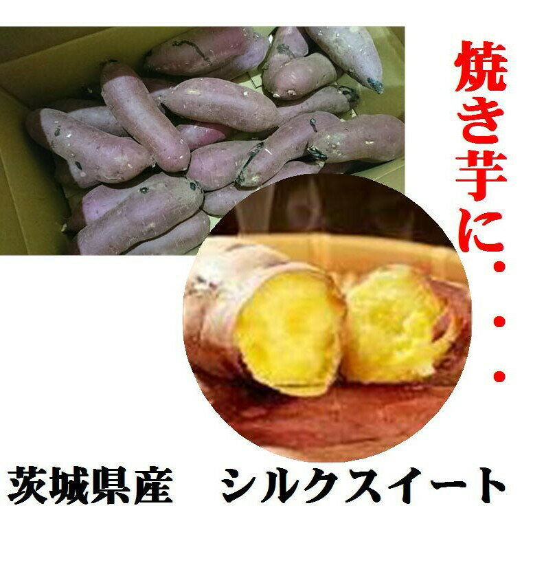 「焼き芋に最適!!」「熟成すれば蜜芋に!!」茨城県産 シルクスイート(サツマイモ)M〜2L寸