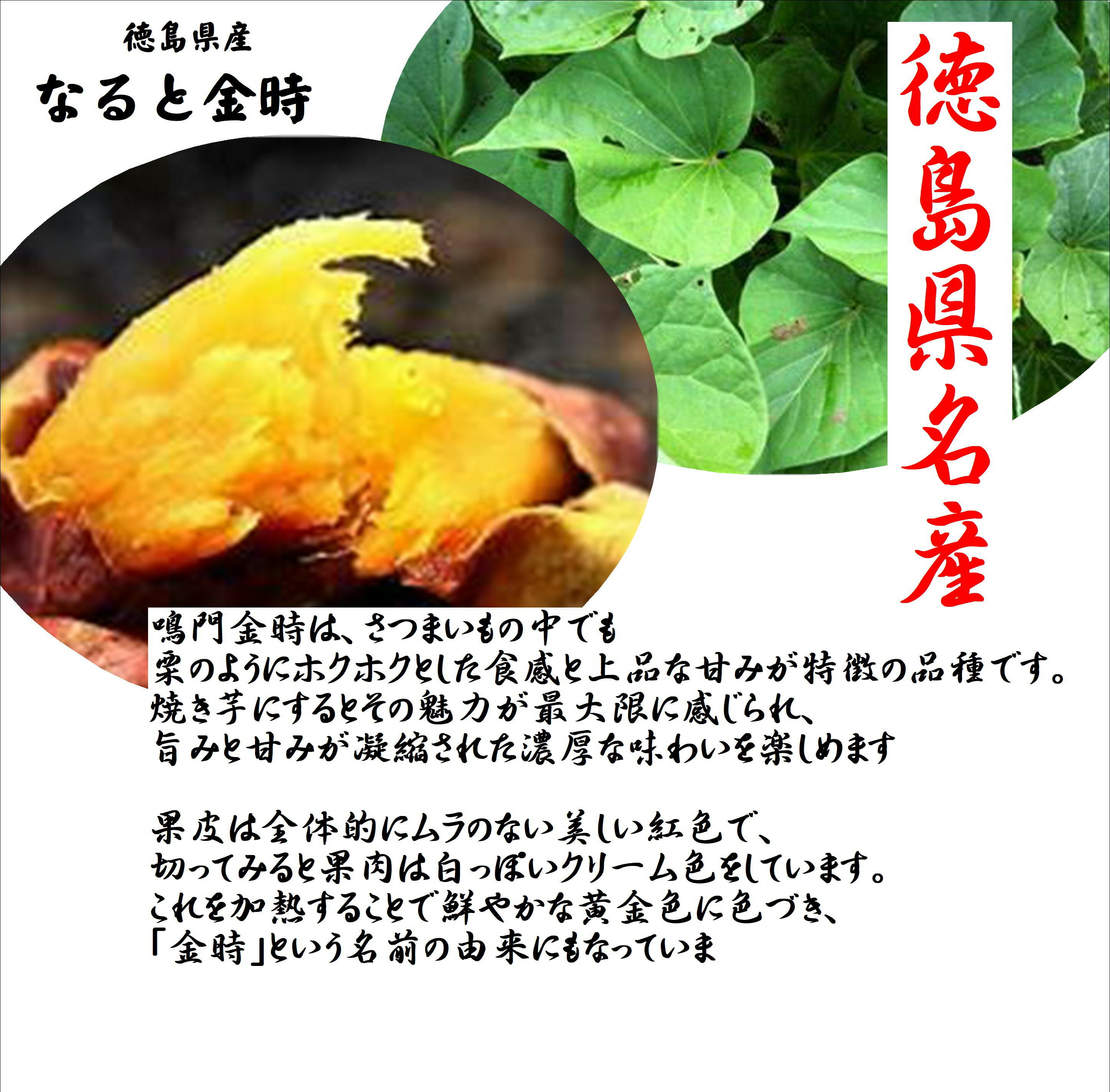 徳名産名産！！徳島県産　鳴門金時（サツマイモ）2S〜S寸
